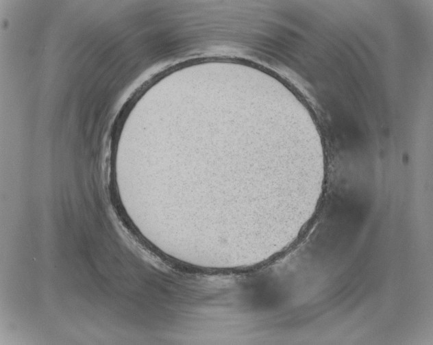 X0000081561126200701291143