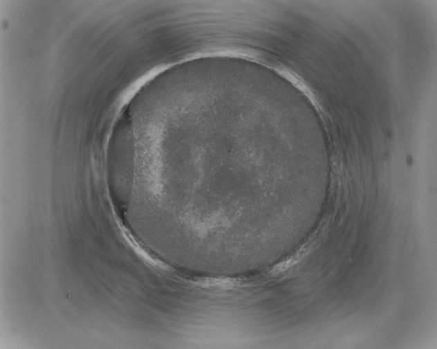 X0000081561127200701291143