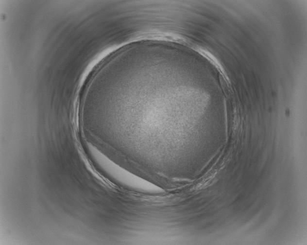 X0000081561128200701291143