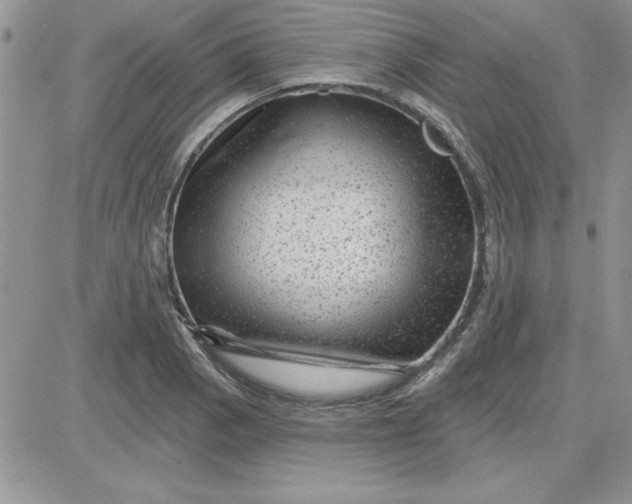 X0000081561129200701291143