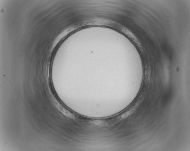 X0000081561130200701291143