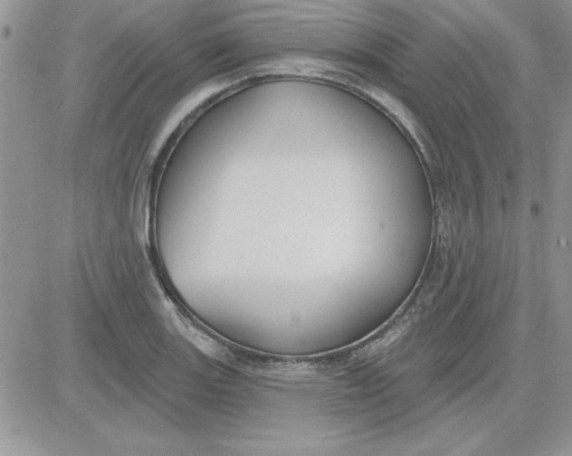 X0000081561131200701291143