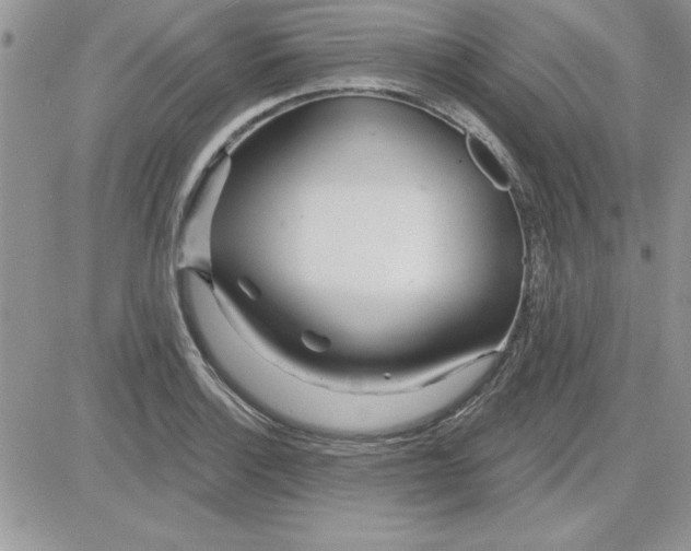 X0000081561132200701291143