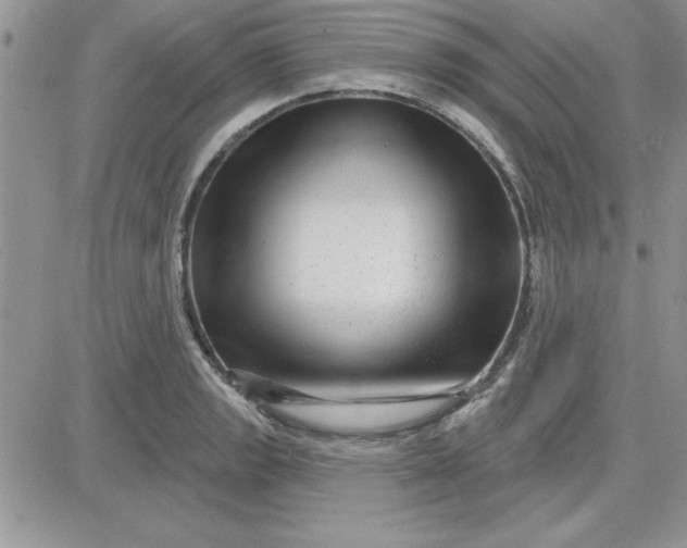 X0000081561133200701291143