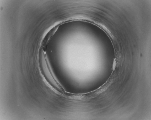 X0000081561134200701291143