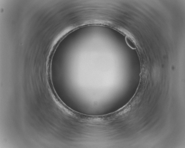 X0000081561135200701291143