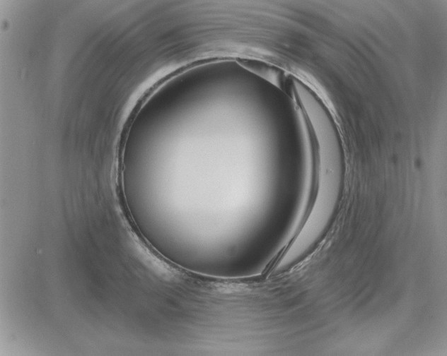 X0000081561136200701291143