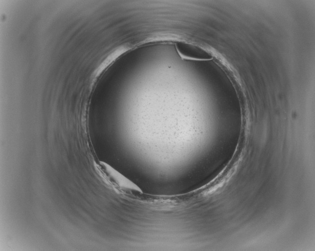 X0000081561137200701291143