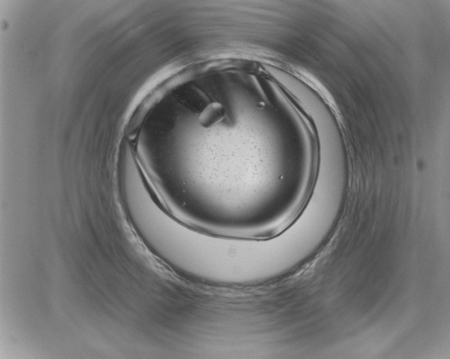 X0000081561138200701291143