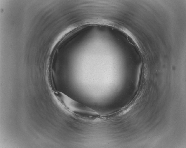 X0000081561139200701291143