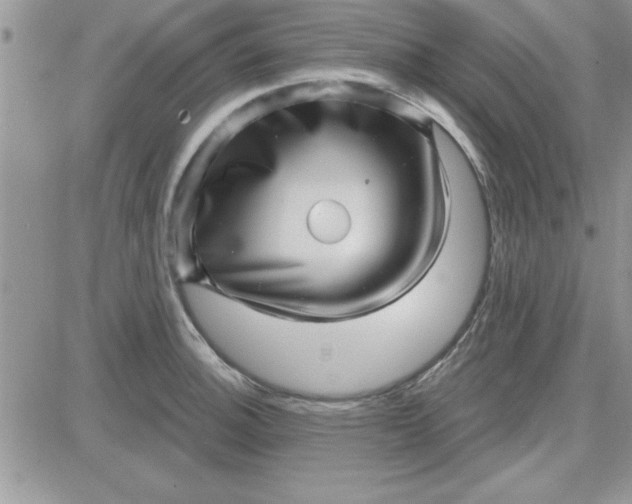 X0000081561140200701291143