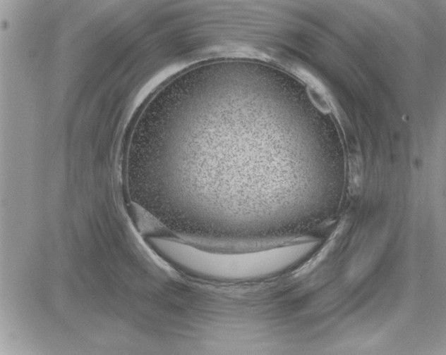 X0000081561141200701291143