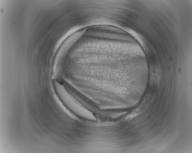 X0000081561142200701291143