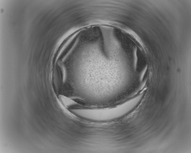 X0000081561143200701291143