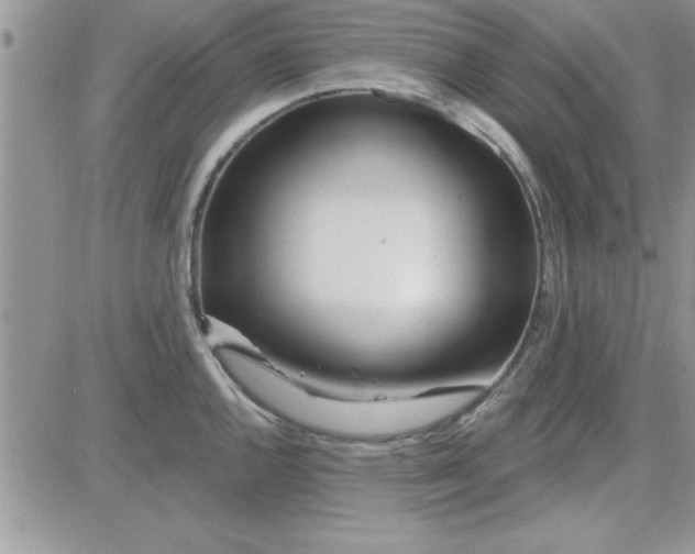 X0000081561144200701291143