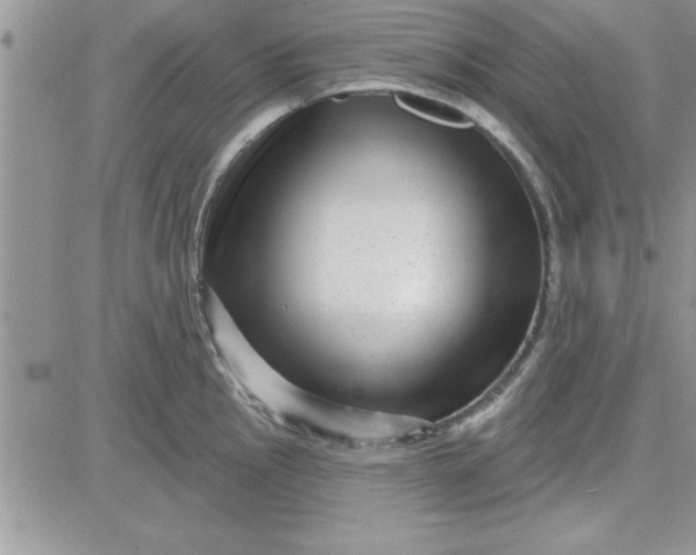 X0000081561145200701291143