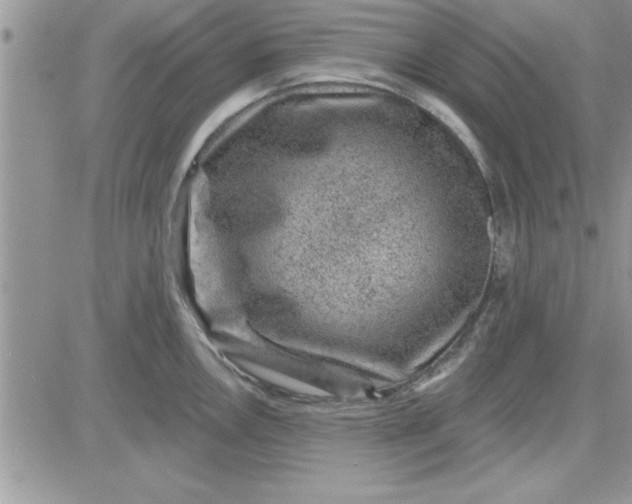 X0000081561146200701291143