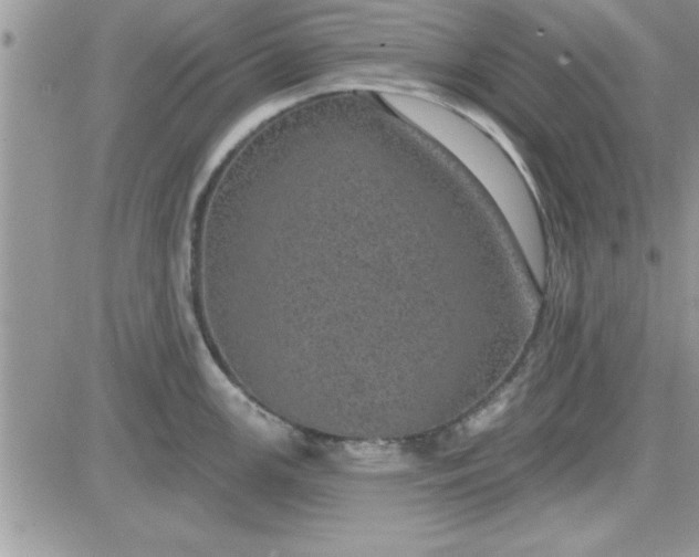 X0000081561147200701291143