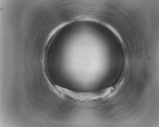 X0000081561149200701291143