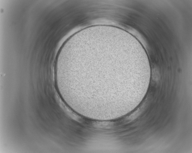 X0000081561150200701291143