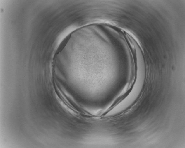 X0000081561151200701291143