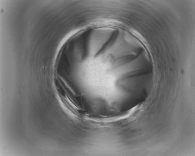 X0000081561152200701291143