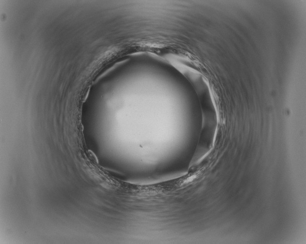 X0000081561153200701291142