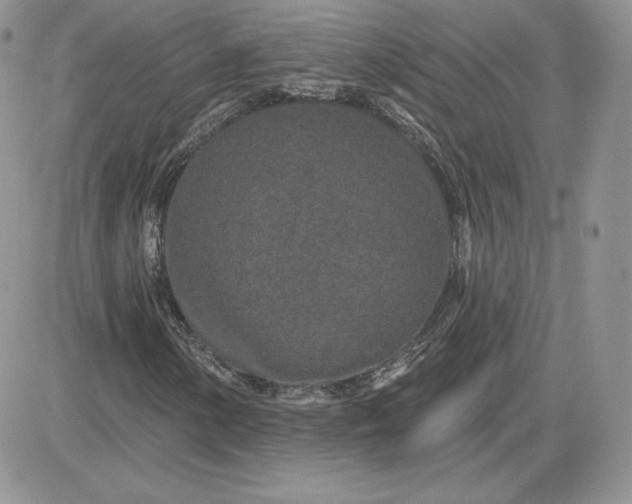 X0000081561154200701291142