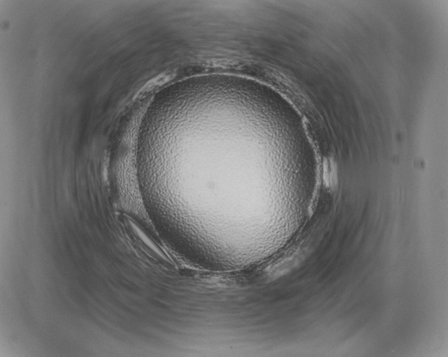 X0000081561155200701291142