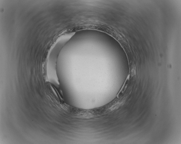 X0000081561156200701291142