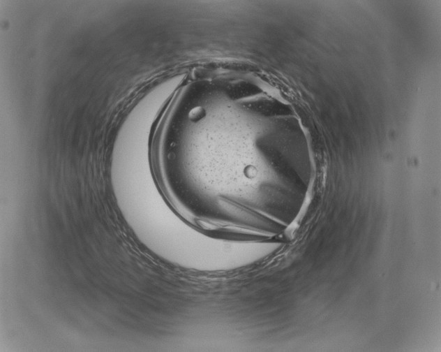 X0000081561157200701291142