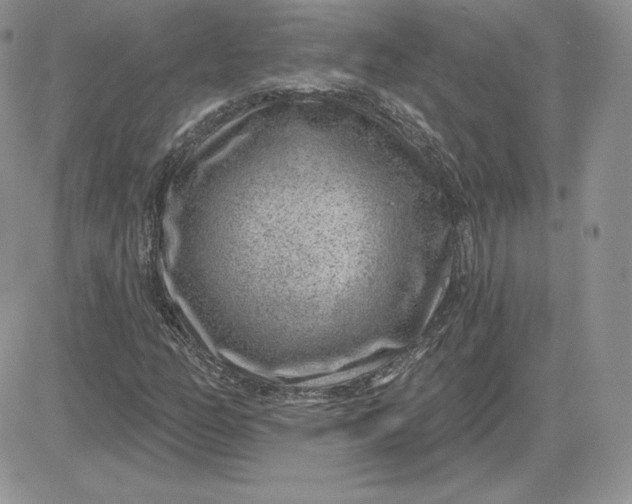 X0000081561158200701291142