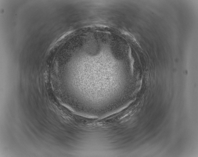 X0000081561159200701291142