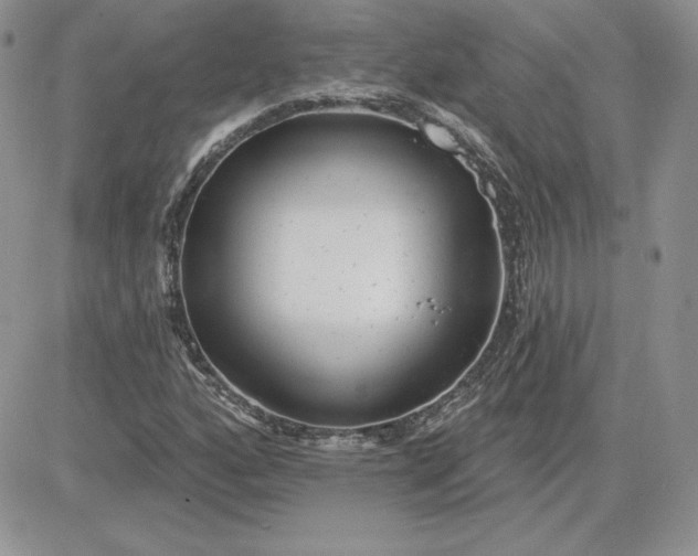 X0000081561160200701291142