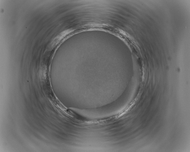 X0000081561161200701291142