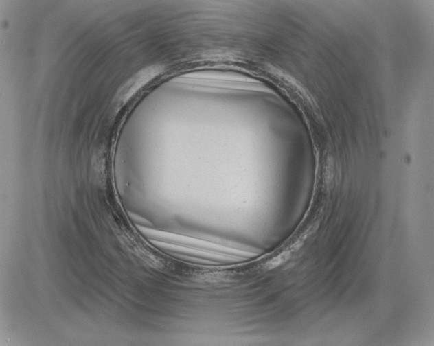 X0000081561162200701291142