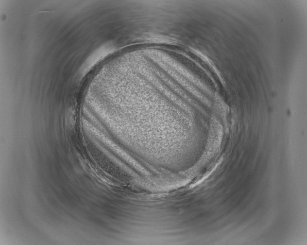 X0000081561163200701291142