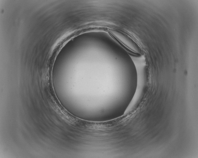 X0000081561164200701291142