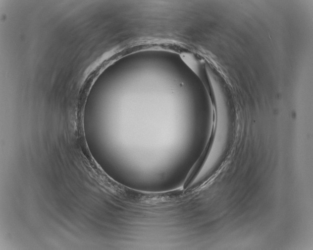 X0000081561165200701291142