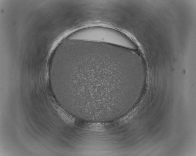 X0000081561167200701291142