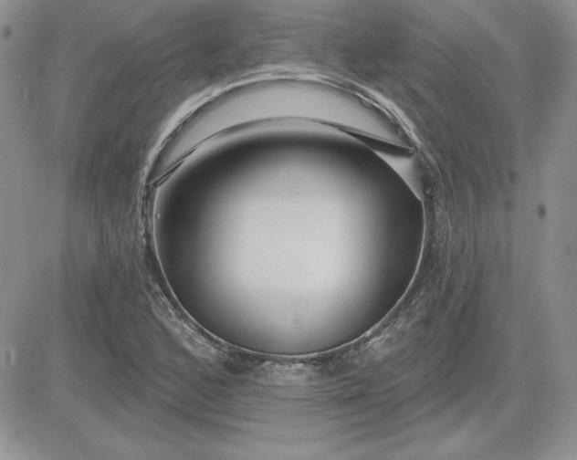 X0000081561168200701291142