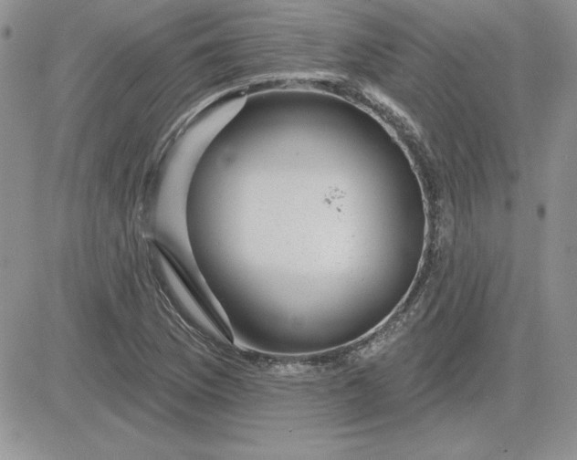 X0000081561169200701291142