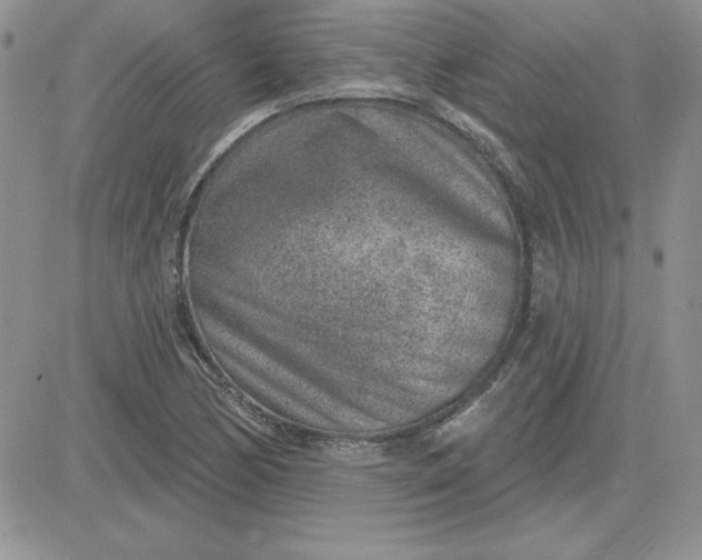 X0000081561170200701291142