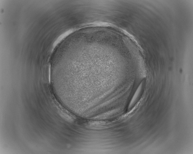 X0000081561171200701291142