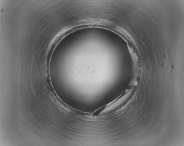 X0000081561172200701291142