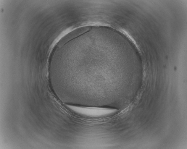 X0000081561173200701291142