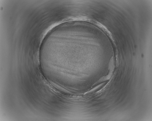 X0000081561174200701291142