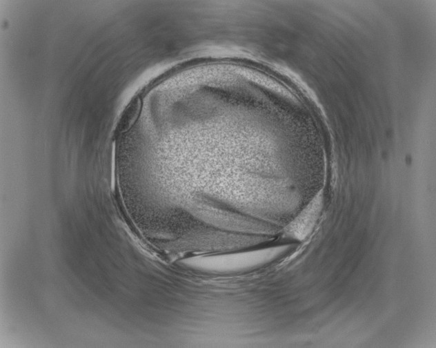 X0000081561175200701291142