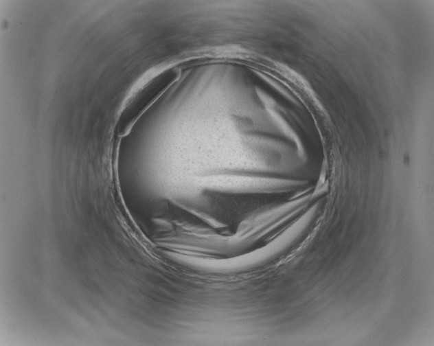 X0000081561176200701291142