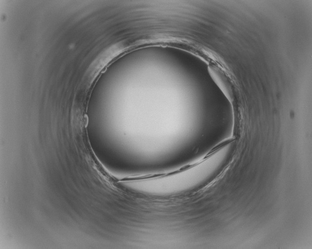 X0000081561177200701291142